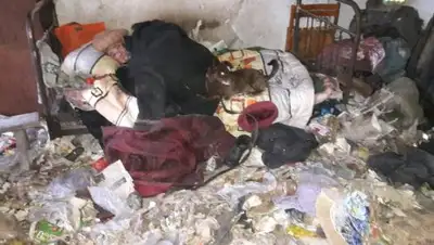 Zakon.kz, фото - Новости Zakon.kz от 16.02.2017 15:35