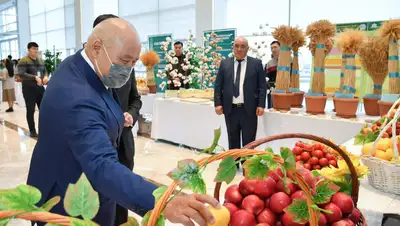 выставка, урожай, фото - Новости Zakon.kz от 25.11.2021 12:21