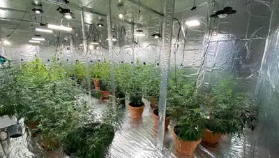 нарколаборатория, фото - Новости Zakon.kz от 03.02.2022 19:28