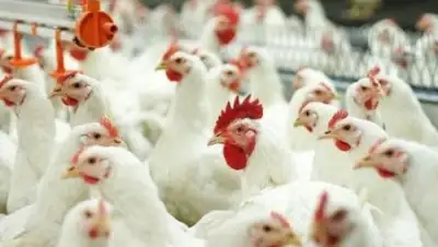 Zakon.kz, фото - Новости Zakon.kz от 18.01.2015 17:54