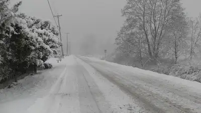 Дорожники ВКО вызволили из снежного плена 14 человек, фото - Новости Zakon.kz от 22.01.2023 09:53