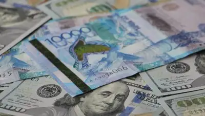 Zakon.kz, фото - Новости Zakon.kz от 12.01.2018 15:53