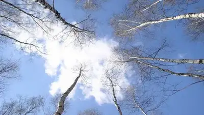 Zakon.kz, фото - Новости Zakon.kz от 24.03.2017 21:23