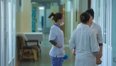 sputniknews.kz, фото - Новости Zakon.kz от 29.11.2018 09:56