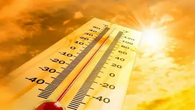 24.kz, фото - Новости Zakon.kz от 02.06.2020 15:59