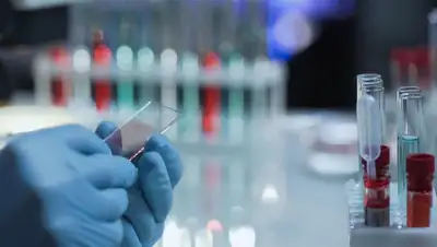 Depositphotos, фото - Новости Zakon.kz от 23.06.2020 21:57