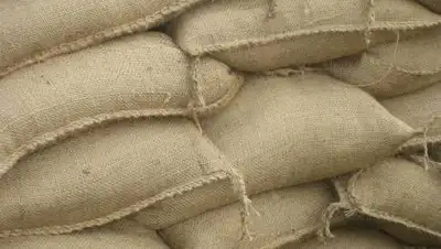 pixabay.com, фото - Новости Zakon.kz от 01.10.2021 15:06