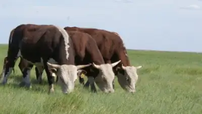 Zakon.kz, фото - Новости Zakon.kz от 11.06.2015 17:14