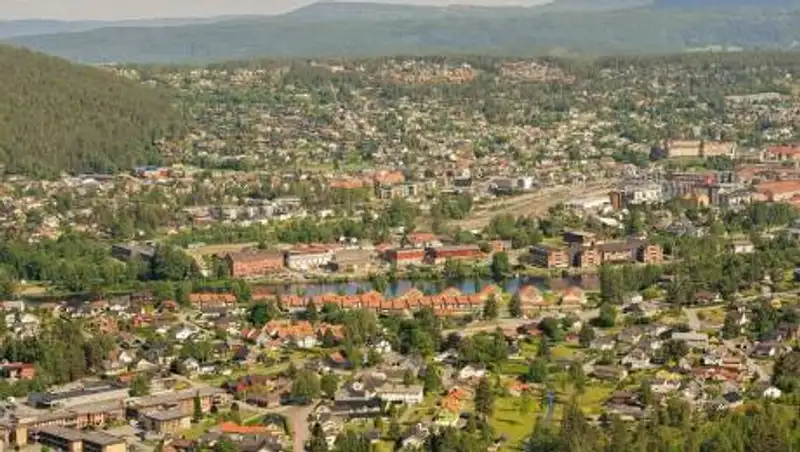 В Норвегии мужчина стрелял в людей из лука: пять погибших