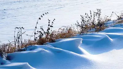 Какой будет погода 1 февраля, рассказали синоптики , фото - Новости Zakon.kz от 31.01.2023 16:04