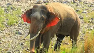 Zakon.kz, фото - Новости Zakon.kz от 21.07.2017 20:18