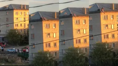 Кадры из видео, фото - Новости Zakon.kz от 03.08.2020 00:38