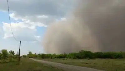 кадр из видео, фото - Новости Zakon.kz от 19.05.2021 01:22