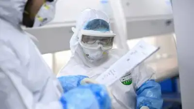 Елорда Инфо, фото - Новости Zakon.kz от 08.10.2020 10:06