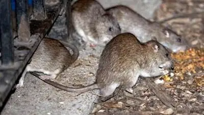 Zakon.kz, фото - Новости Zakon.kz от 14.06.2014 15:21