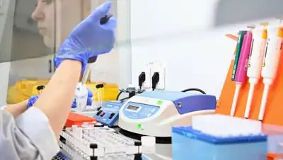 Евгений Одиноков / РИА Новости, фото - Новости Zakon.kz от 21.02.2021 15:27