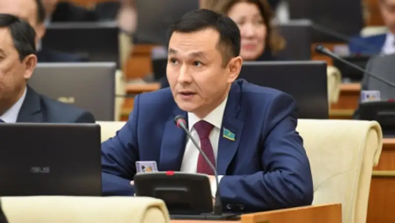 Остановить падение уровня грамотности в РК призвали депутаты