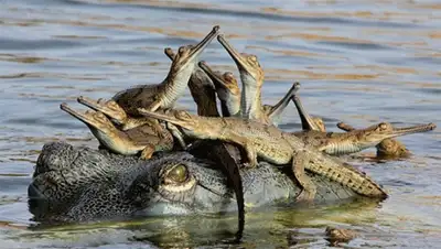 Zakon.kz, фото - Новости Zakon.kz от 19.10.2013 18:59