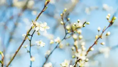 pixabay.com, фото - Новости Zakon.kz от 17.05.2021 16:38