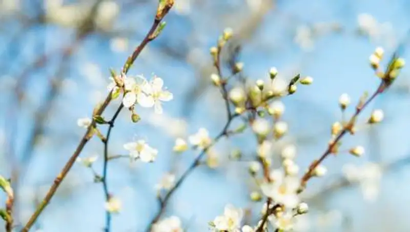 Какая погода ждет казахстанцев 18 мая