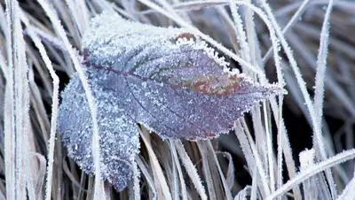 Zakon.kz, фото - Новости Zakon.kz от 27.11.2017 12:01