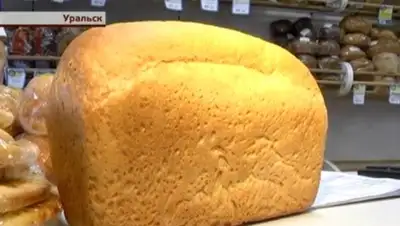 Zakon.kz, фото - Новости Zakon.kz от 10.11.2015 05:35