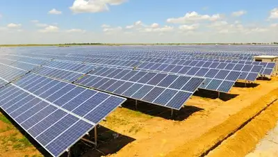 Zakon.kz, фото - Новости Zakon.kz от 20.04.2017 23:59