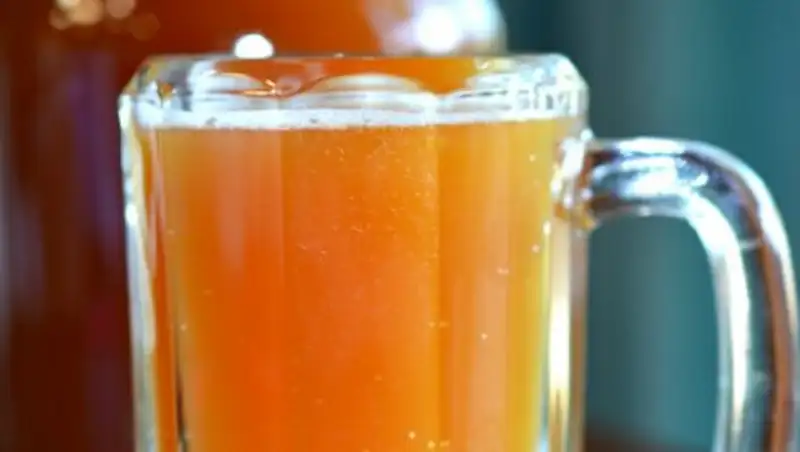 Казахстанец пытался провезти в Россию пиво под видом кваса