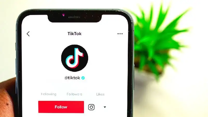В Азербайджане снято временное ограничение доступа в TikTok