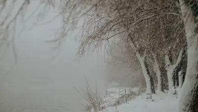 снег, туман , фото - Новости Zakon.kz от 17.01.2022 18:10