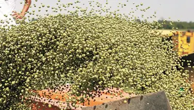 Zakon.kz, фото - Новости Zakon.kz от 20.02.2017 23:51