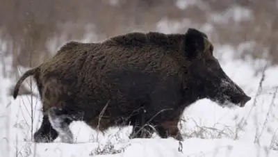 Zakon.kz, фото - Новости Zakon.kz от 01.11.2014 21:33