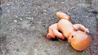 VistaNews.ru, фото - Новости Zakon.kz от 12.06.2018 12:15