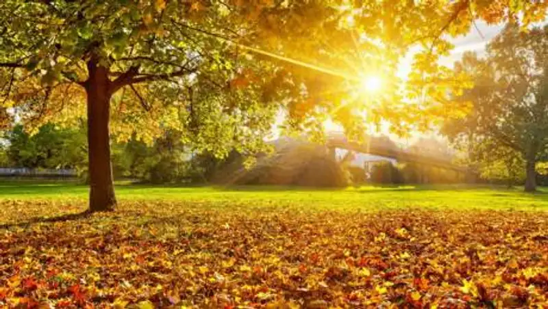 Прогноз погоды в Казахстане на 14 октября