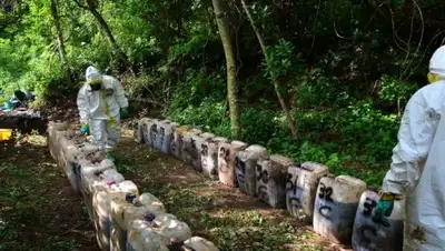 TVNET, фото - Новости Zakon.kz от 30.08.2018 06:45