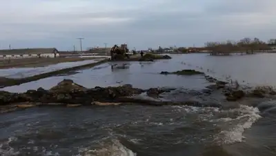 Zakon.kz, фото - Новости Zakon.kz от 31.03.2016 23:53