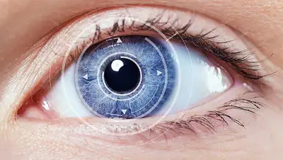 iris-glazcentr.com, фото - Новости Zakon.kz от 24.04.2019 23:41