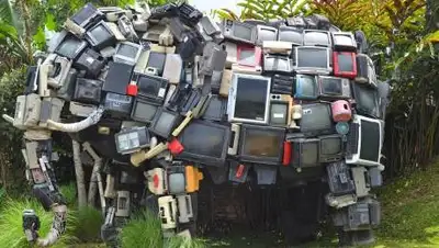 Pixabay, фото - Новости Zakon.kz от 19.12.2020 02:57