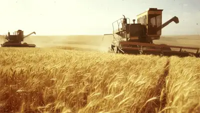 Zakon.kz, фото - Новости Zakon.kz от 06.11.2013 00:44