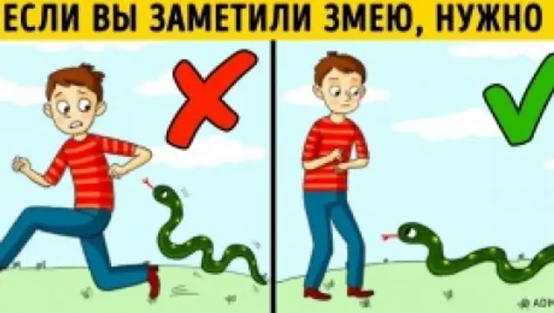 12 правил идеального отдыха на природе