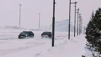 zakon.kz, фото - Новости Zakon.kz от 12.11.2020 18:06