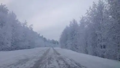 24kz, фото - Новости Zakon.kz от 30.12.2020 07:13