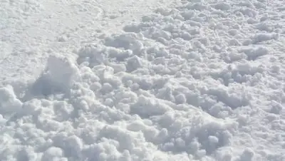 pixabay.com, фото - Новости Zakon.kz от 11.12.2020 11:32