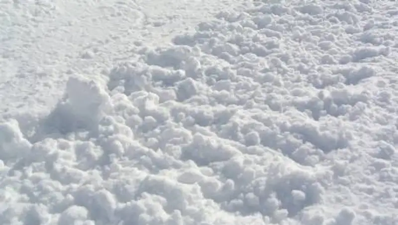 В Нур-Султане пьяный вор прятал украденное в сугробах