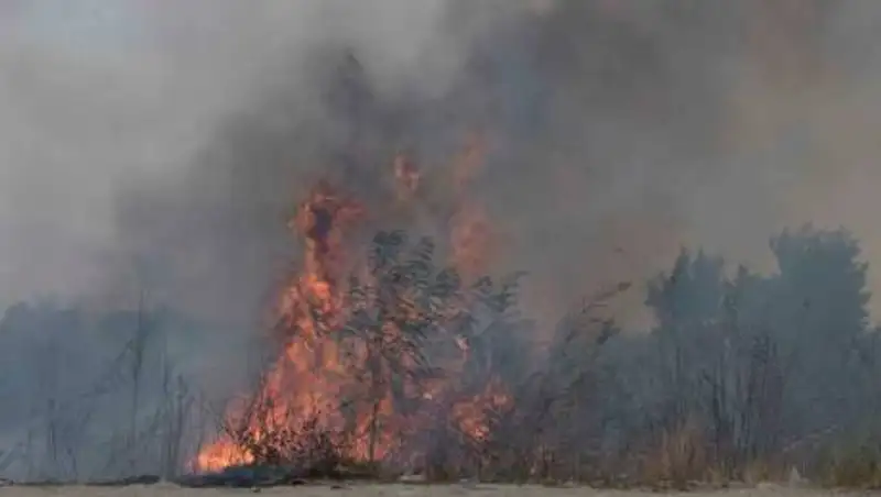Крупный пожар в ущелье тушат с вертолета в Алматинской области