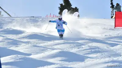 НОК РК, фото - Новости Zakon.kz от 10.03.2019 20:41