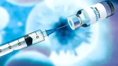 splitshire.com, фото - Новости Zakon.kz от 15.02.2021 19:32