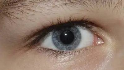 pxhere.com, фото - Новости Zakon.kz от 06.06.2021 01:52