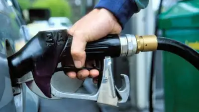 Zakon.kz, фото - Новости Zakon.kz от 16.02.2017 04:28