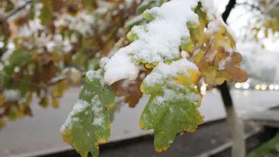 Zakon.kz, фото - Новости Zakon.kz от 27.10.2014 15:56